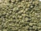 Green Coffee Bean Extract